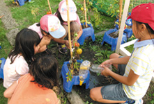 Children cultivating Lylyco as part of their learning activities