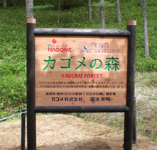 「カゴメの森」案内看板