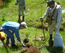入笠山での植樹活動