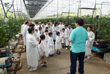 いわき小名浜菜園