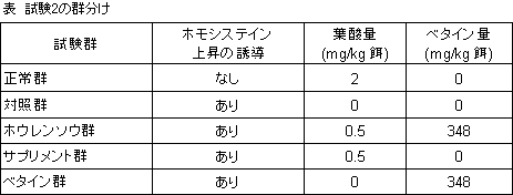 表 試験2の群分け