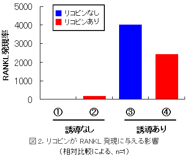 図2.リコピンがRANKL発現に与える影響