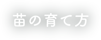 苗の育て方