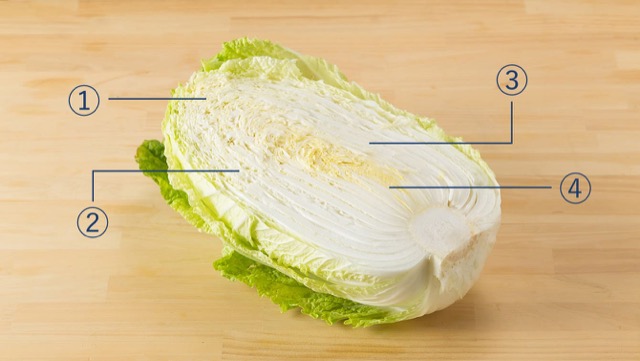 白菜に適した調理方を、大きく4つの部位に分けてご紹介