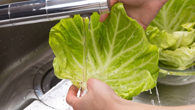 白菜・レタス・キャベツの洗い方：葉と葉の間の汚れを落としたいため、1枚ずつ洗う