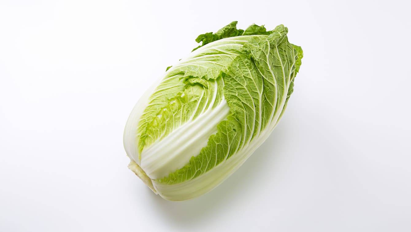 【白菜】幅広い料理に合う白菜の栄養価と、保存方法