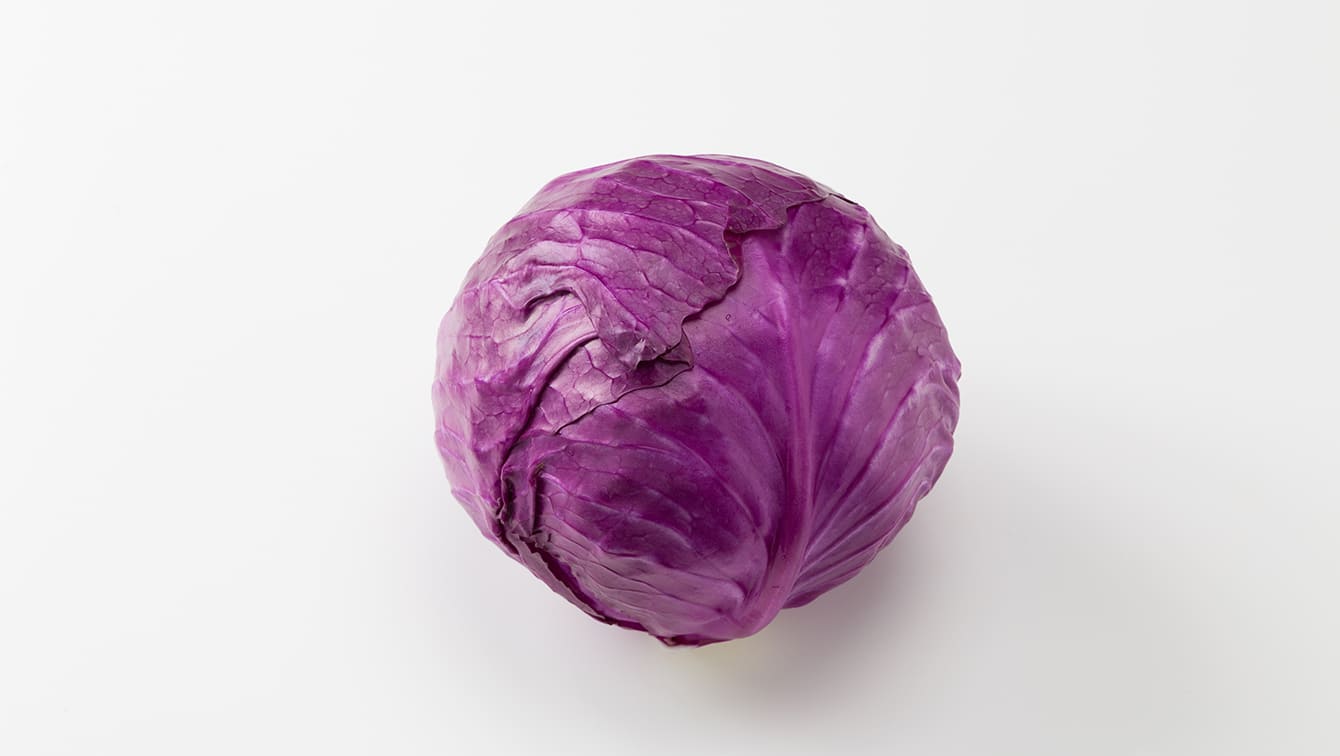 紫 キャベツ