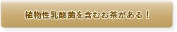 �A�������_�ۂ��܂ނ���������I