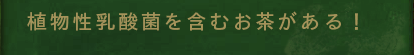 �A�������_�ۂ��܂ނ���������I