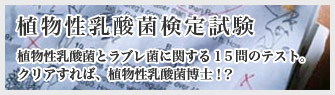 �A�������_�ی��莎��