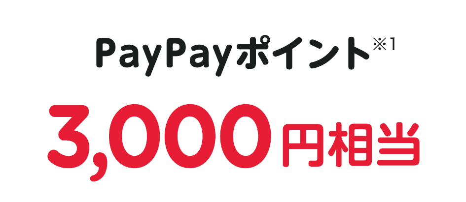 PayPayポイント※1 3,000円相当
