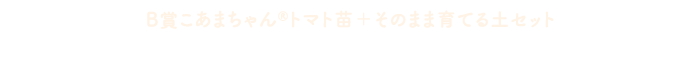 B賞 こあまちゃん®トマト苗＋そのまま育てる土セット 5月下旬配送コースに応募する