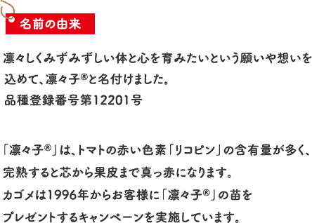 【名前の由来】凛々しくみずみずしい体と心を育みたいという願いや想いを込めて、凛々子®と名付けました。 品種登録番号第12201号 「凛々子」は、トマトの赤い色素「リコピン」の含有量が多く、完熟すると芯から果皮まで真っ赤になります。カゴメは1996年からお客様に「凛々子®」の苗をプレゼントするキャンペーンを実施しています。