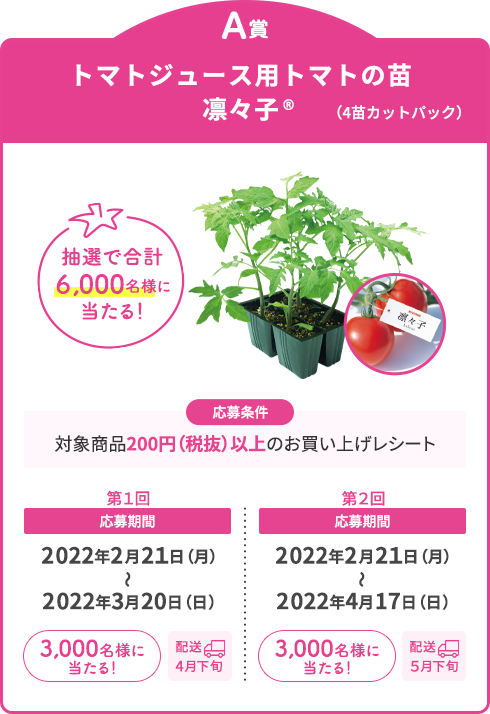 A賞 トマトジュース用トマトの苗「凛々子®」（4苗カットパック）抽選で合計6,000名様に当たる！【応募条件】対象商品200円（税抜）以上のお買い上げレシート【第1回 応募期間】2022年2月21日（月）～3月20日（日）3,000名様に当たる！[配送4月下旬]【第2回 応募期間】2022年2月21日（月）～4月17日（日）3,000名様に当たる！[配送5月下旬]