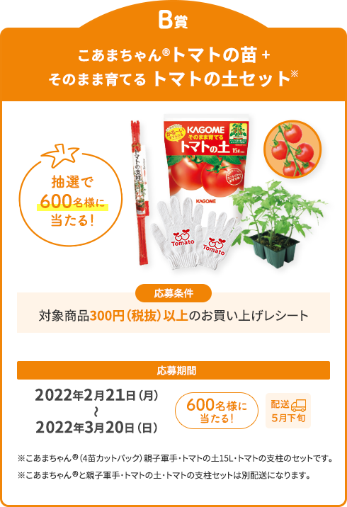 B賞 こあまちゃん®トマトの苗＋そのまま育てるトマトの土セット※ 抽選で合計600名様に当たる！【応募条件】対象商品300円（税抜）以上のお買い上げレシート【応募期間】2022年2月21日（月）～3月20日（日）600名様に当たる！[配送5月下旬] ※こあまちゃん®（4苗カットパック）親子軍手・トマトの土15L・トマトの支柱のセットです。※こあまちゃん®と親子軍手・トマトの土・トマトの支柱セットは別配送になります。