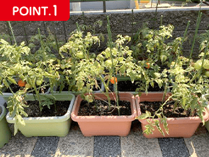 POINT.1