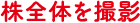 株全体を撮影