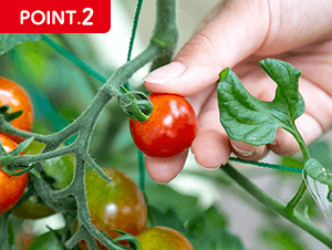 POINT.2