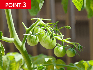 POINT.3