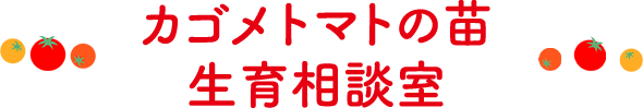 カゴメトマトの苗 生育相談室