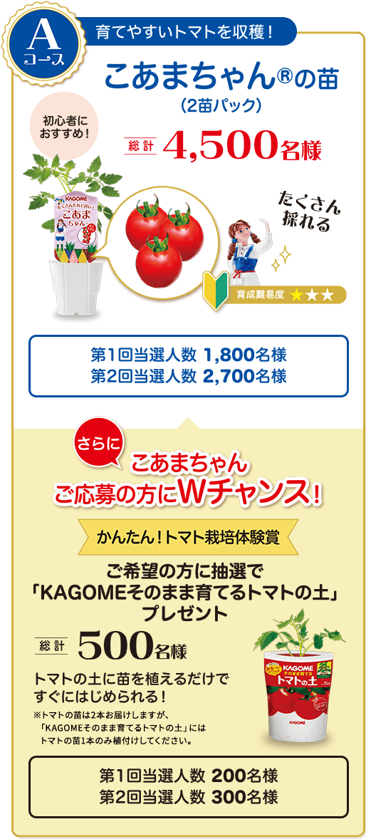 Aコース　育てやすいトマトを収穫！こあまちゃんの苗（2苗パック）初心者におすすめ！総計4,500名様　育成難易度★　第1回当選人数 1,800名様　第2回当選人数 2,700名様　さらにこあまちゃんご応募の方にＷチャンス！かんたん！トマト栽培体験賞　ご希望の方に抽選で「KAGOMEそのまま育てるトマトの土」プレゼント　総計500名様　トマトの土に苗を植えるだけですぐにはじめられる　※トマトの苗は2本お届けしますが、「KAGOMEそのまま育てるトマトの土」にはトマトの苗1本のみ植付けしてください。　第1回当選人数 200名様第2回当選人数 300名様