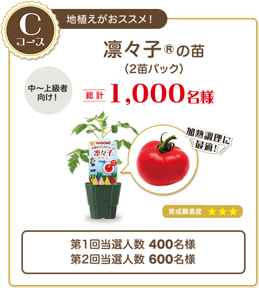 Cコース　地植えがおススメ！凛々子®の苗（2苗パック）　中〜上級者向け！　総計1,000名様　育成難易度★★★　第1回当選人数 400名様第2回当選人数 600名様