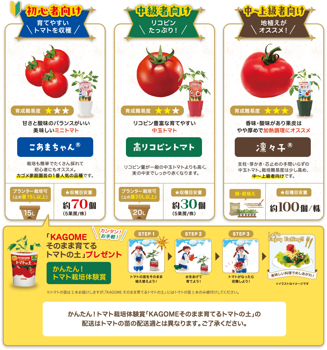 初心者向け　育てやすいトマトを収穫　育成難易度★　甘さと酸味のバランスがいい美味しいミニトマト　こあまちゃん　中級者向け　リコピンたっぷり！育成難易度★★　リコピン豊富な育てやすい中玉トマト　高リコピントマト　中～上級者向け　地植えがオススメ！　育成難易度★★★　香味・酸味があり果皮はやや厚めで加熱調理にオススメ　凛々子