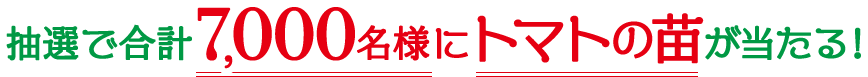 抽選で合計7,000名様にトマトの苗が当たる！