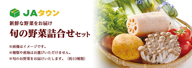 JAタウン　新鮮な野菜をお届け 旬の野菜詰合せセット