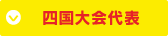 四国大会代表