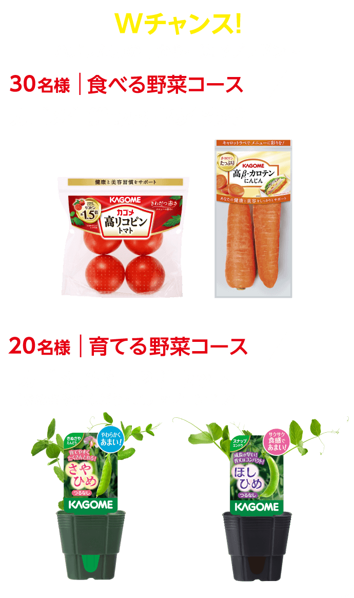 Wチャンス！ハズレた方の中から抽選でプレゼント！【食べる野菜コース／30名様】カゴメ生鮮野菜詰め合わせ【育てる野菜コース／20名様】カゴメ野菜苗2種セット（きぬさやえんどう・スナップエンドウ）
