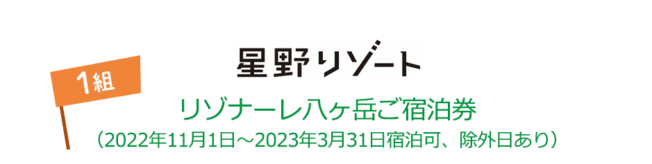 星野リゾート リゾナーレ八ケ岳ご宿泊券(2022年11月1日～2023年3月31日宿泊可、除外日あり) 1名様