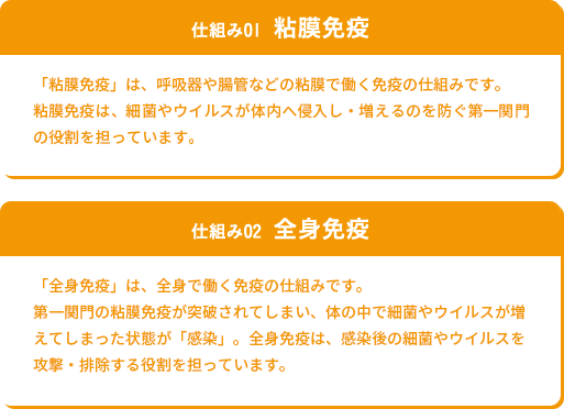 
仕組み01  粘膜免疫
「粘膜免疫」は、呼吸器や腸管などの粘膜で働く免疫の仕組みです。
粘膜免疫は、細菌やウイルスが体内へ侵入し・増えるのを防ぐ第一関門の役割を担っています。

仕組み02  全身免疫
「全身免疫」は、全身で働く免疫の仕組みです。
第一関門の粘膜免疫が突破されてしまい、体の中で細菌やウイルスが増えてしまった状態が「感染」。全身免疫は、感染後の細菌やウイルスを攻撃・排除する役割を担っています。
