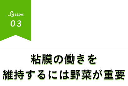 粘膜の働きを維持するには野菜が重要