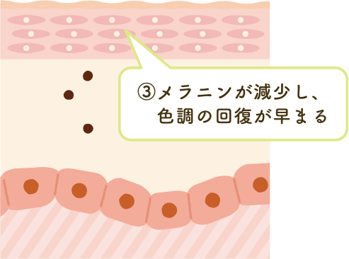 メラニンが減少し、色調の回復が早まる