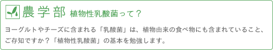 農学部　植物性乳酸菌って？