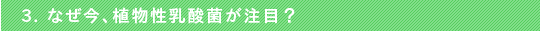 3. なぜ今、植物性乳酸菌が注目？