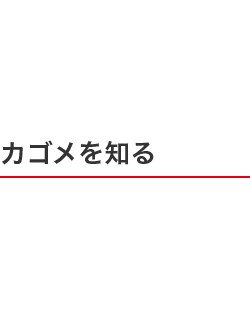 カゴメを知る