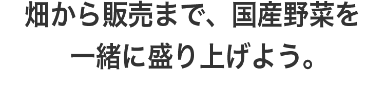 畑から販売まで、国産野菜を一緒に盛り上げよう。