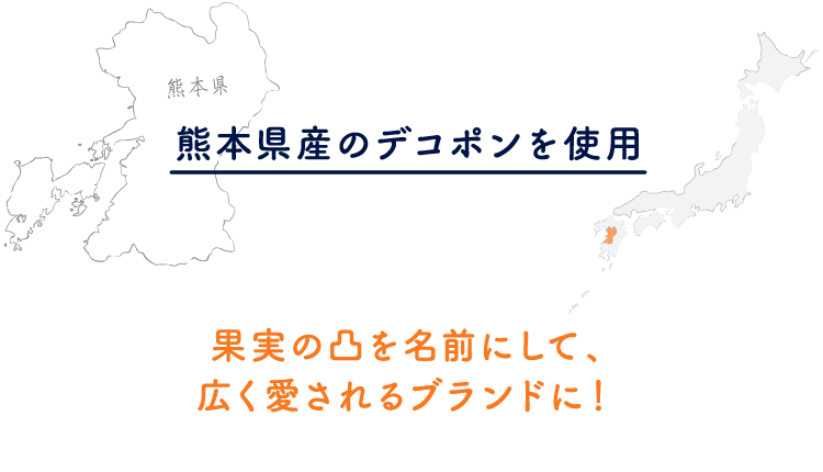 熊本県産のデコポンを使用