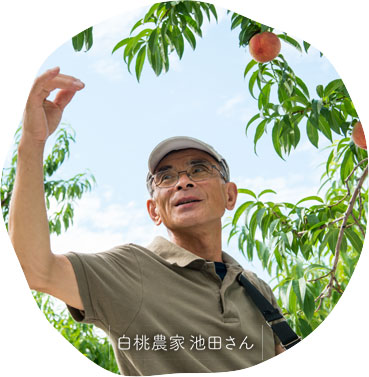 白桃農家 池田さん