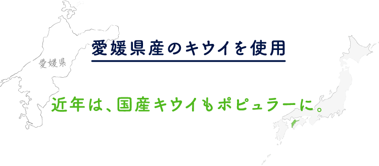 愛媛県産のキウイを使用