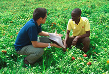 Cultivation guidance in Senegal