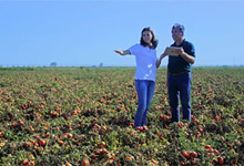 Farm management guidance using ICT