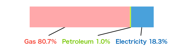 Composition of Energy Usage