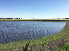 Reservoir dam of Kagome Australia Pty Ltd.
