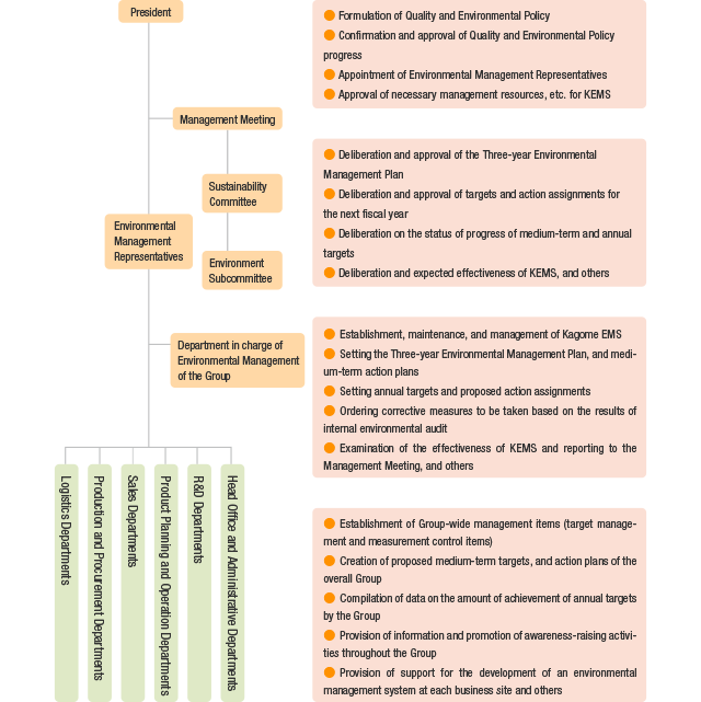 EMS Structure