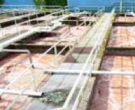 Energy Conservation and Prevention of Global Warming