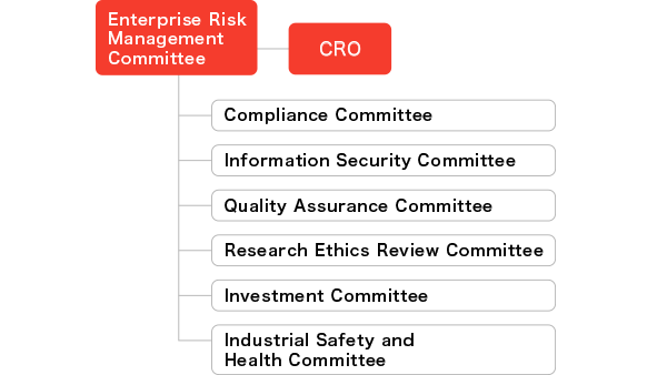 Companywide Risk Management Structure