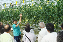 Iwaki Onahama Greenfarm